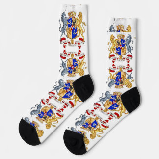 la concordia integritas socks