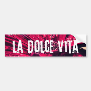 La Dolce Vita Gerbera Daisy Bumper Sticker