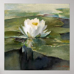 La Farge - Water Lily In Sunlight Poster
