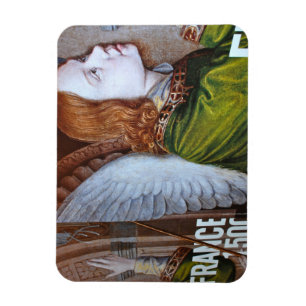La France 2013 photograph Magnet