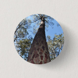 La Gerche Ponderosa Pine Badge