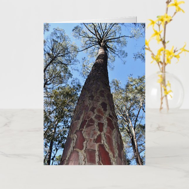La Gerche Ponderosa Pine Blank Greeting Card (Yellow Flower)
