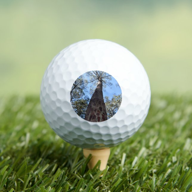 La Gerche Ponderosa Pine Golf Ball (Insitu Tee)