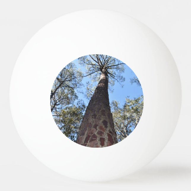 La Gerche Ponderosa Pine Ping Pong Ball (Front)