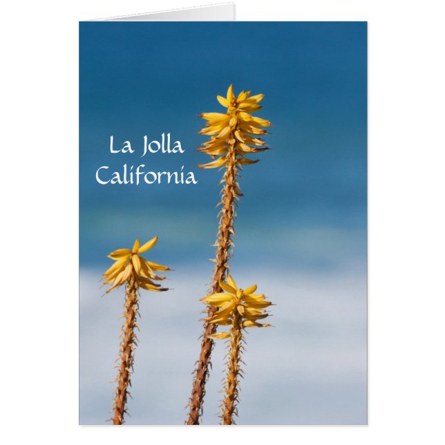 La Jolla Agave and Ocean (Front)