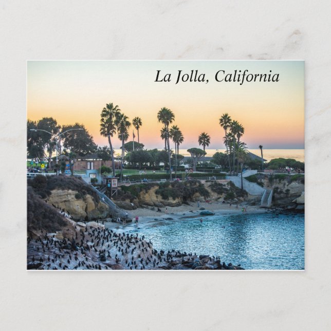 La Jolla California Coastline Postcard (Front)
