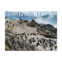 La Jolla California Post Card