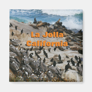 La Jolla California Souvenir Magnet