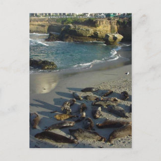 La Jolla Cove Beach Waves Sand Seals Postcard