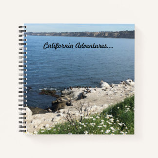 La Jolla Cove, California Notebook