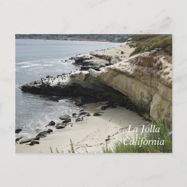 La Jolla Cove in California Postcard (Front)