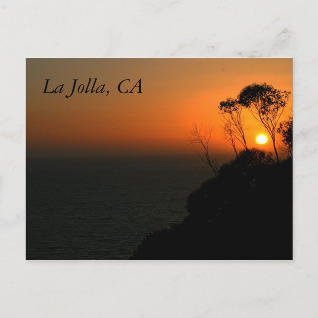 La Jolla Eucalyptus Grove Postcard (Front)