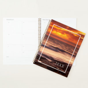 La Jolla Tide Pools Planner