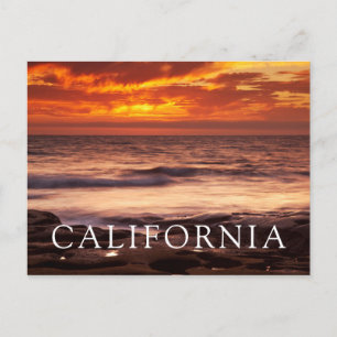La Jolla Tide Pools Postcard