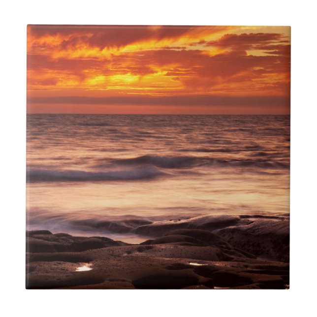La Jolla Tide Pools Tile (Front)