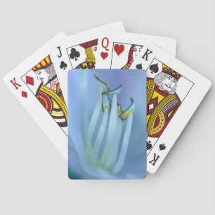 La La Land  Playing Cards