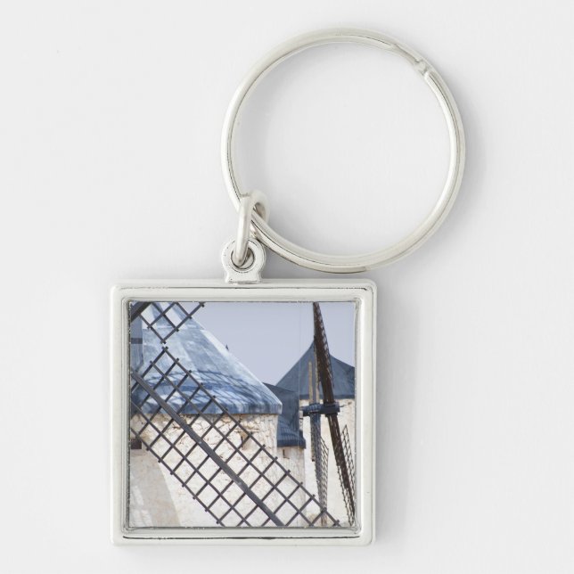 La Mancha, Spain. Don Quixote famously tilted at Key Ring (Front)