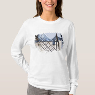 La Mancha, Spain. Don Quixote famously tilted at T-Shirt