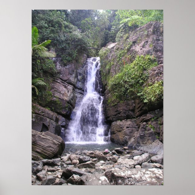 La Mina Falls Poster (Front)