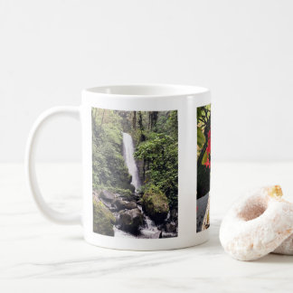 La Paz Waterfall & Floral Mug