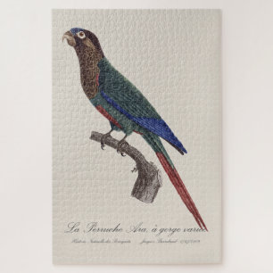 La Perruche Ara, a gorge variee Jigsaw Puzzle