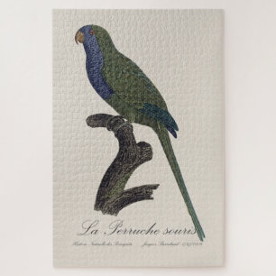 La Perruche souris / Monk Parakeet Jigsaw Puzzle