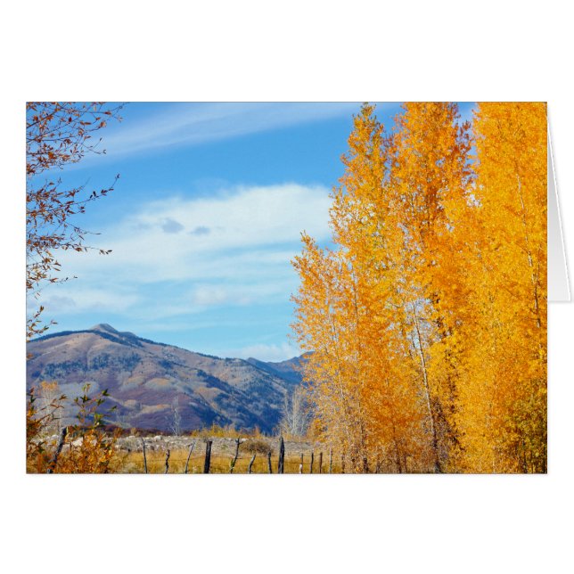 La Platas Autumn (Front Horizontal)