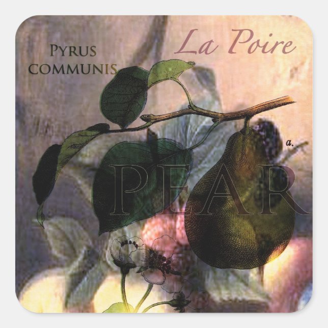 La Poire #2 Square Sticker (Front)