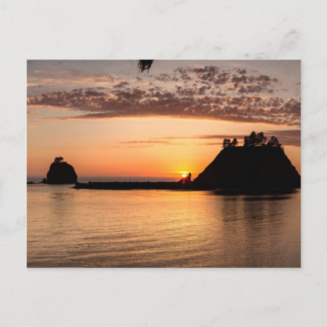 La Push, Washington. Panorama Postcard (Front)