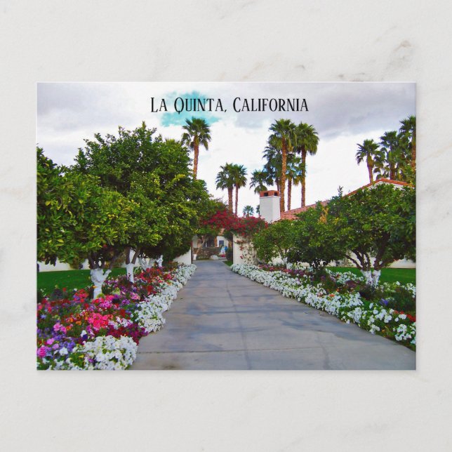 La Quinta, California California Desert Postcard (Front)