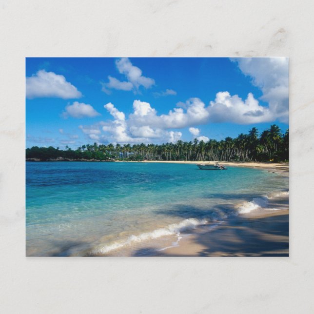 La Samana Peninsula, Dominican Republic, 2 Postcard (Front)