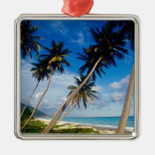 La Samana Peninsula, Dominican Republic, Metal Tree Decoration