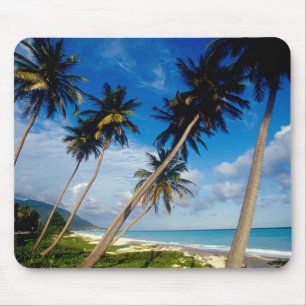 La Samana Peninsula, Dominican Republic, Mouse Mat