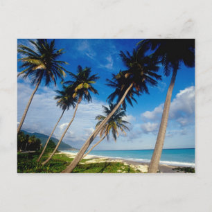La Samana Peninsula, Dominican Republic, Postcard