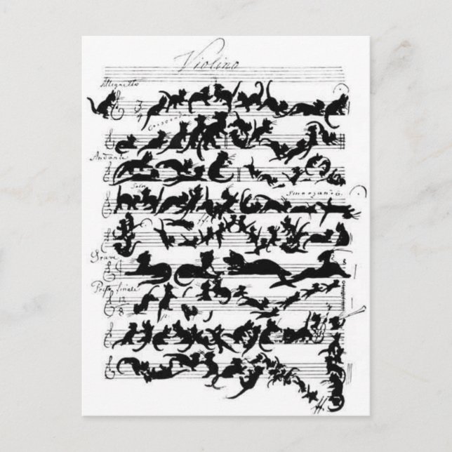 La symphonie des chats postcard (Front)