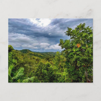 La Tierra Que Da Fruto Postcard