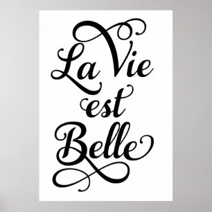 la vie est belle, life is beautiful, French quote, Poster