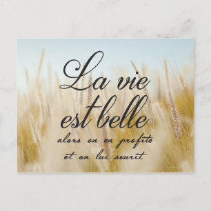 La vie est belle postcard