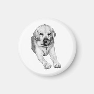 Lab calm for your fridge magnet