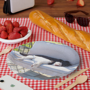 lab group sleeping paper plate