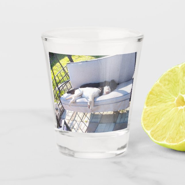 lab group sleeping shot glass (Front)