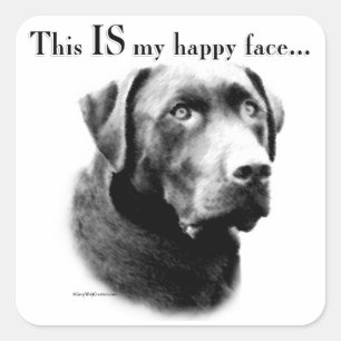 Lab Happy Face Square Sticker