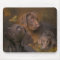 Lab In Autumn Mousepad