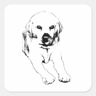 Lab lick, pocket joy square sticker