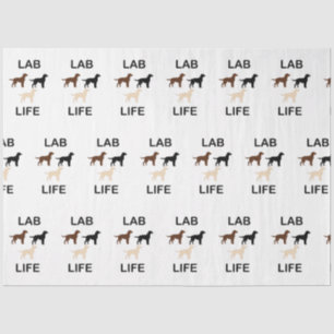 lab life all colours silhouettes tissue paper