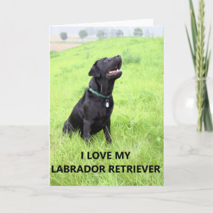 lab love w pic card