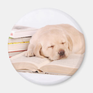Lab Magnet