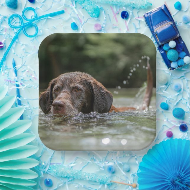 Lab Paper Plate (Party)