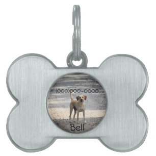 Lab Pet ID Tag