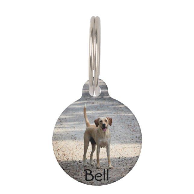 Lab Pet Tag (Front)